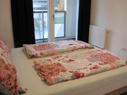 Vienna Dc Living Apartment With Parking On Premise