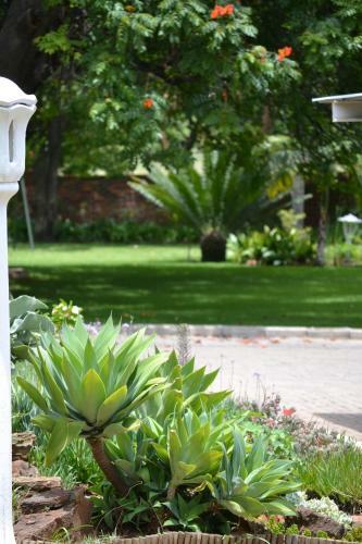 Hostal Franka Guesthouse
