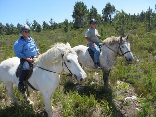 Agroturismo T'niqua Stable Inn