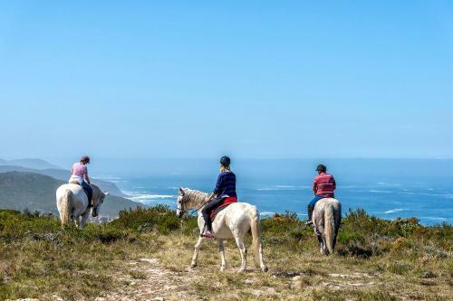 Agroturismo T'niqua Stable Inn