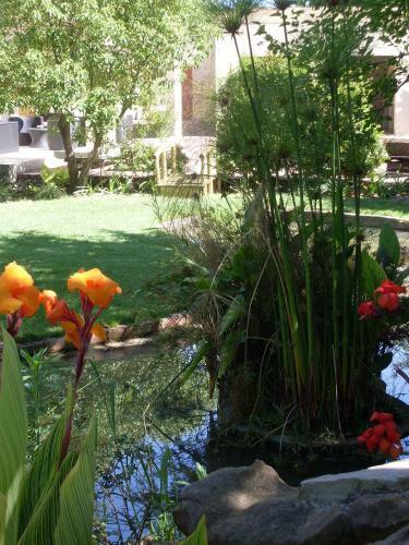 Bed & Breakfast Sauvignon Country Lodge