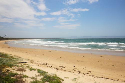 The Crescent - Pet Friendly - 1 Min To Beach