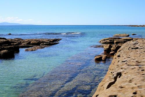 Ayana Beach House - Pet Friendly - Opposite Beach