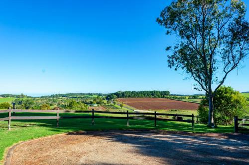 Dorrigo Mountain Holiday Park