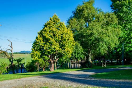 Dorrigo Mountain Holiday Park