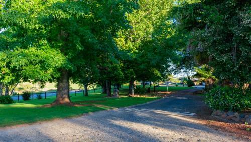 Dorrigo Mountain Holiday Park
