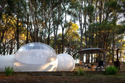 Skyview Bubbletent