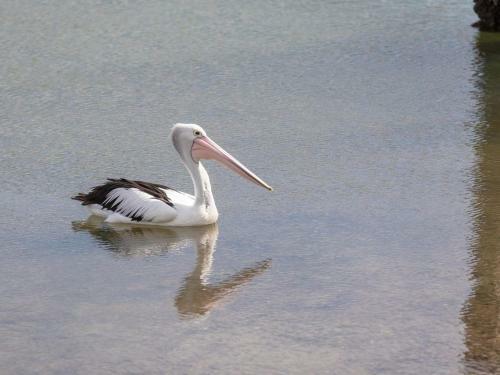 Rita Mae's On The River - Relax And Recharge