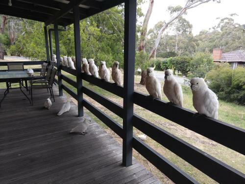 Cockatoo Cabin