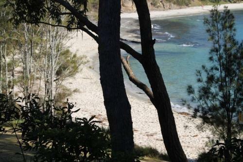 Seaside Apartment Huskisson Jervis Bay With Private Sunny Garden