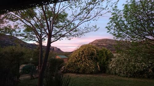 Apartamento Jan Frederick Self Catering