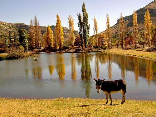 Hostal Lake Clarens Guest House