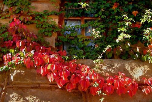 Hostal Lake Clarens Guest House