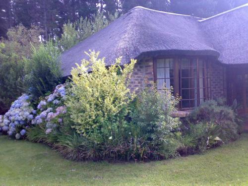 Apartamentos Coral Tree Cottages