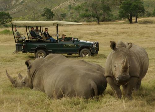 Lodge Botlierskop Private Game Reserve