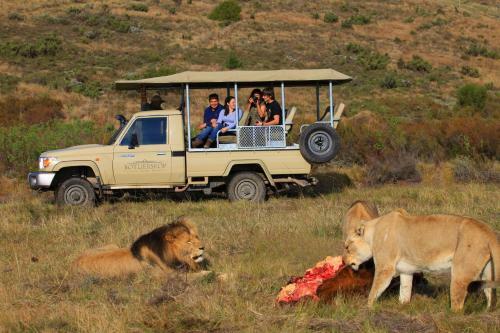Lodge Botlierskop Private Game Reserve
