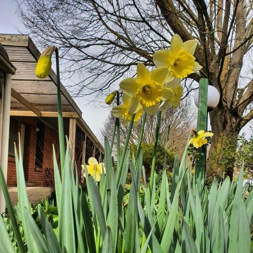 Hotel The Lancefield Lodge