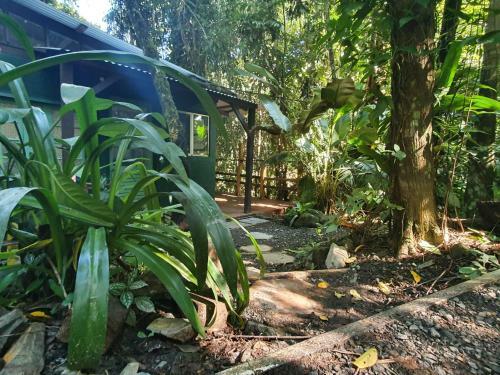 Lodge Cassowary House