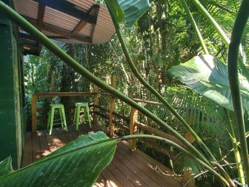 Lodge Cassowary House