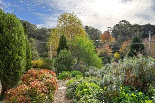 Little Haven Leura Cottage With Spa And Log Fire