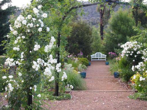 Villa Delderfield Cottages