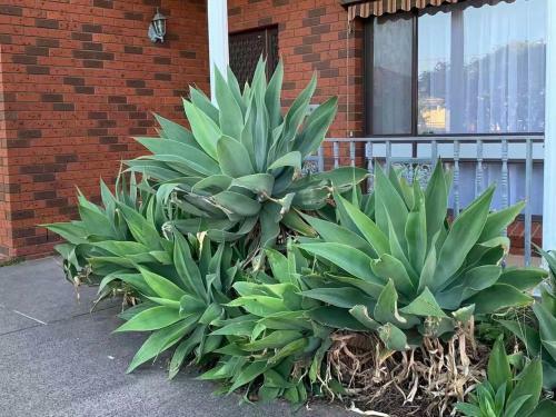 Delicate And Cozy Bedroom In Bentleigh East