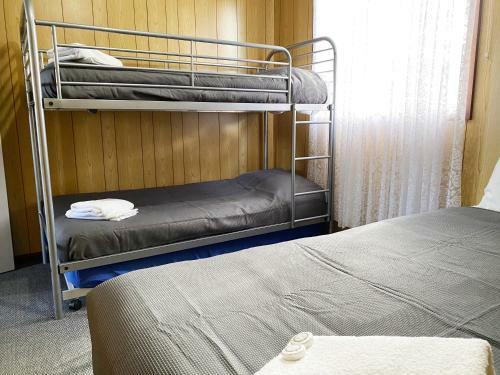 Hotel Limestone Coast Tourist Park