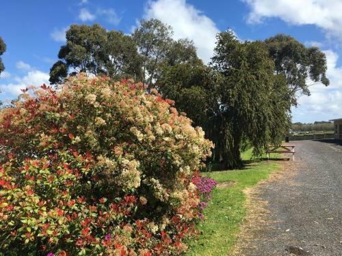 Hotel Limestone Coast Tourist Park