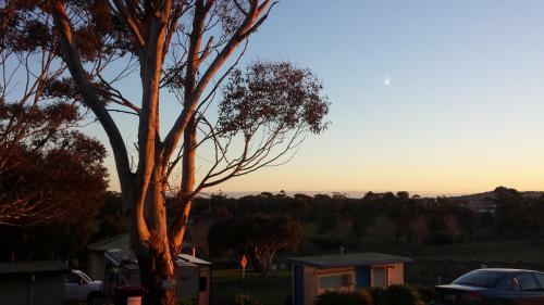 Hotel Limestone Coast Tourist Park