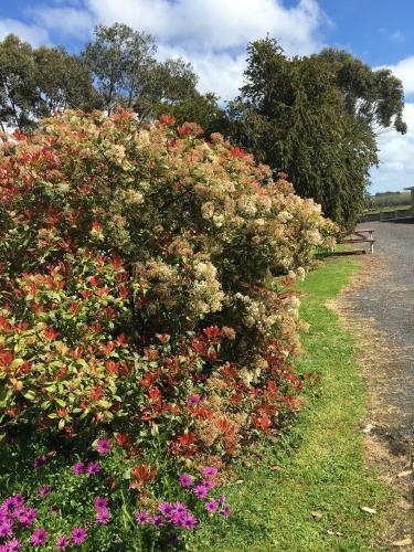 Hotel Limestone Coast Tourist Park