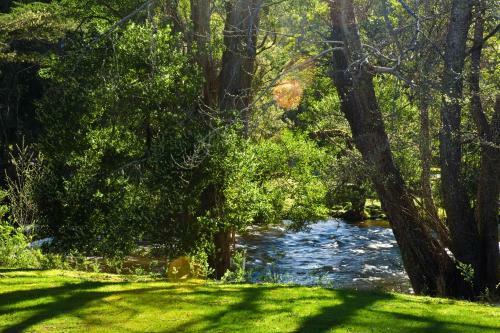 Apartamento Russell Falls Holiday Cottages