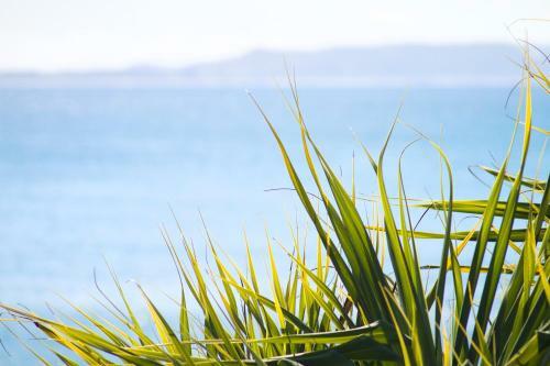Apartamento Noosa Court 6