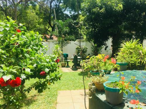Hostal Sunflower Inn Sigiriya