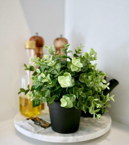 Lux & Quiet Apartment In, Potts Point