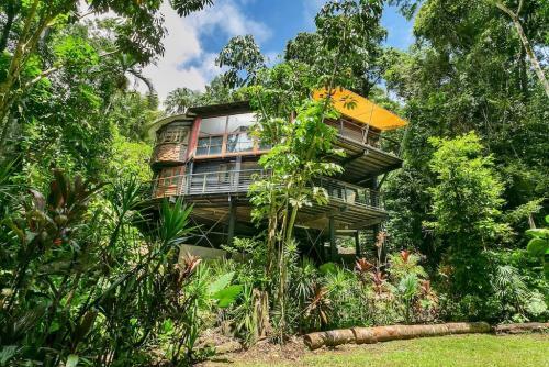 The Secret Treehouse