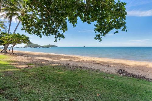 Windfall In Palm Cove