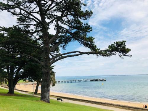 Family Island Getaway - Beachfront Apartment