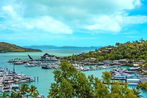 Kingfisher On Hamilton Island