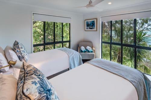 Kingfisher On Hamilton Island