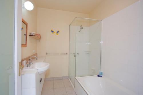 Charles Central Oasis 8