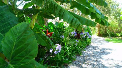 Mullaway Beach Holiday Cabins