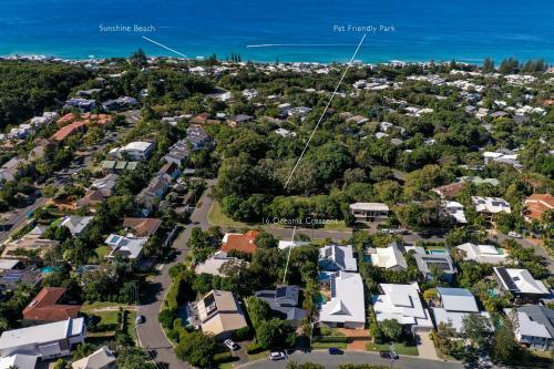 The Perfect Pet Friendly Escape, Sunshine Beach