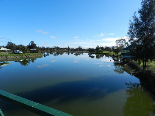 Golden Ponds