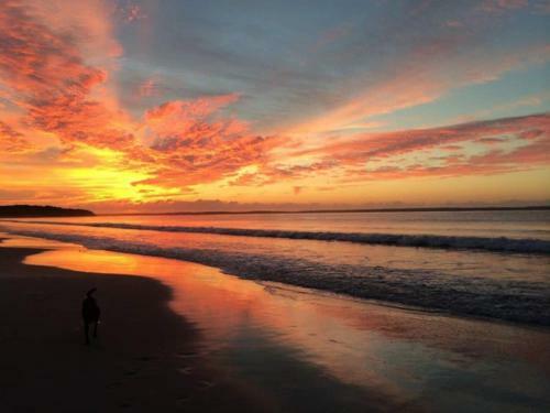 Callala Beach Shack - Pet Friendly