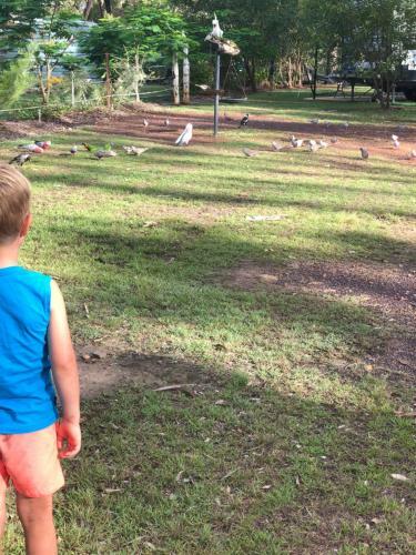 Fraser Coast Rv Park - Gypsy Wagon