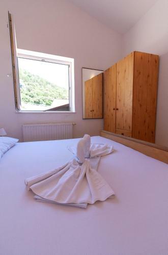 Apartamentos Villa Ragu?