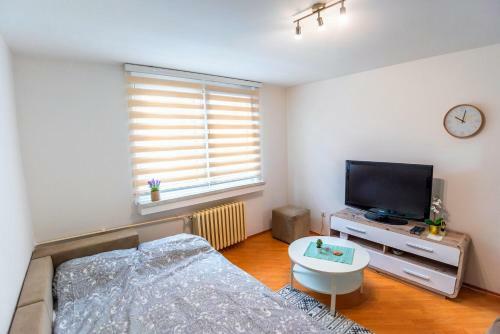 Apartment Studio Center Of Sarajevo