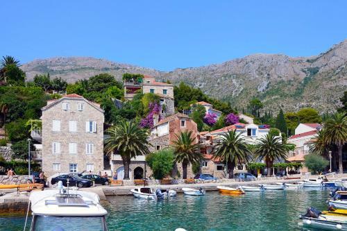 Luxury Villa Branko With Private Pool Near Dubrovnik