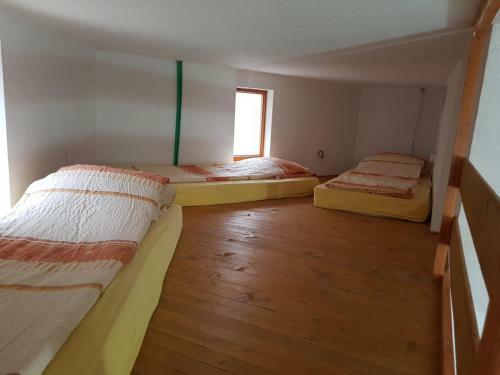 Family Apartment