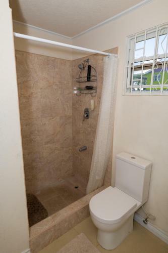 Apartamento The Cottage, Saint Davids